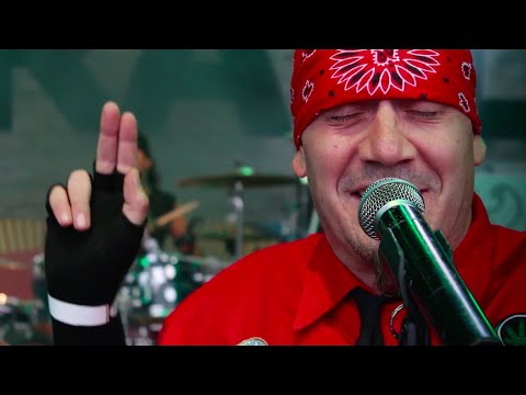 Zorall - Primitív Baby (Official)