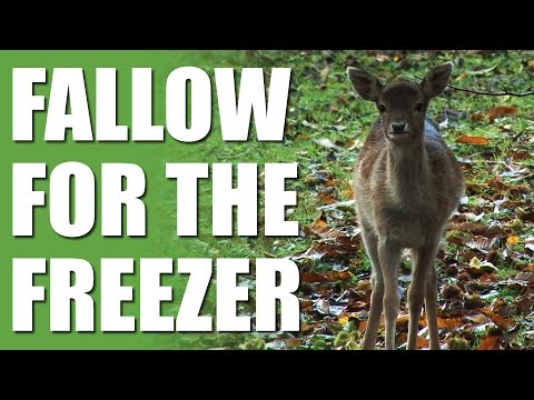Fallow for the Freezer