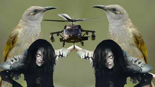 Download lagu masteran cucak full combo kuntilanak helicopter shot mp3 Download lagu masteran cucak full combo kuntilanak helicopter shot mp3