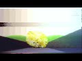 Teh 1981 Early Reel Of Tomas Nutshell 100 Fake