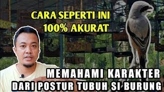 Download lagu TIPS MEMAHAMI KARAKTER PADA BURUNG CENDET mp3