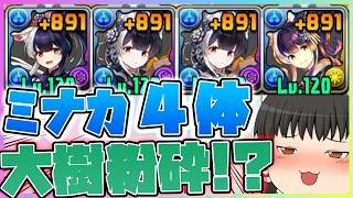 【正気？】これが愛の力!?!?推しのミナカ4体編成で最高難易度『大樹チャレンジ』を完全破壊してしまうｗｗ #パズドラ #ドラゴン縛り