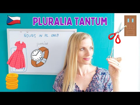 Don't Say "Dveře/Šaty JE..." 🚪👗 (Pluralia Tantum in Czech / Pomnožná podstatná jména)