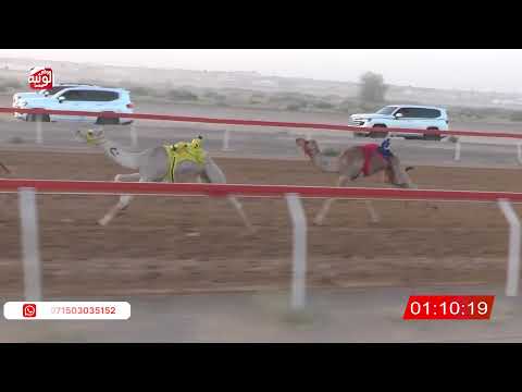  ش 5 (شاهين) لـ سعيد بن حمد بالطير 2:20 ، شارة صندوق حلفه 2026/05/10 فطامين الجبيب