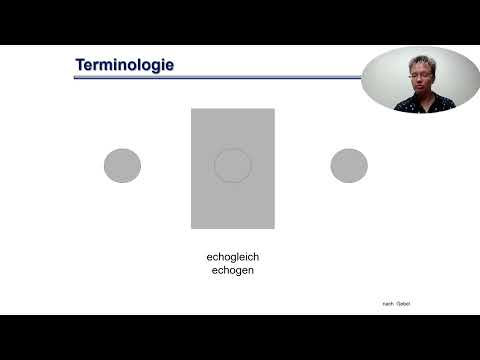 Online Modul I Methodik Terminologie