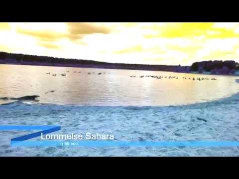 Lommelse Sahara - in 60 sec