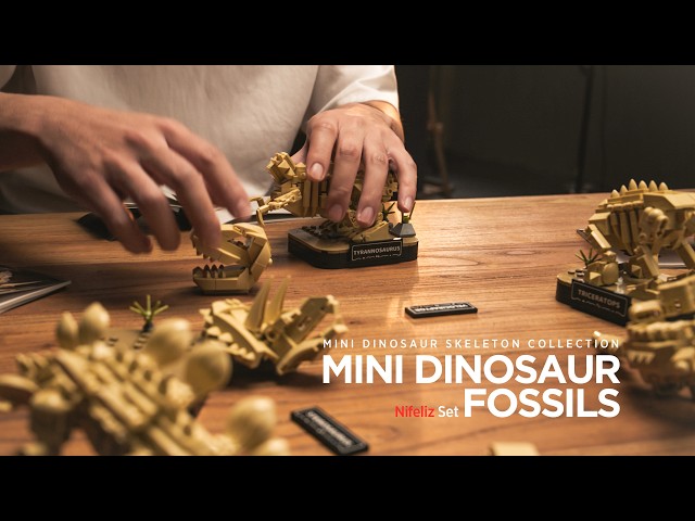 Vídeo relacionado con Nifeliz Colección Small de Esqueletos de Dinosaurio, 4 Maquetas de Fósiles para Adultos, Decoración de Escritorio, Regalo para Fans (1,101 Piezas, NF10360)