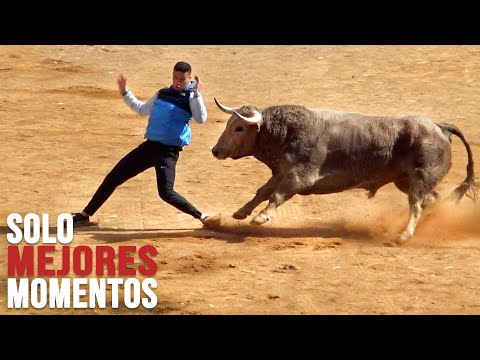 Toros Bravos Solo Mejores Momentos #2