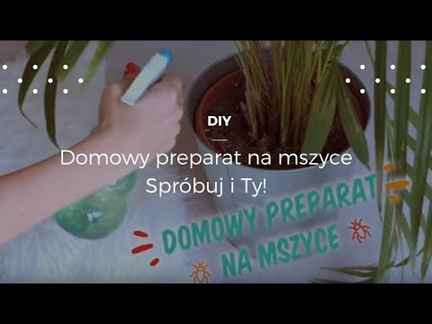 Domowy preparat na mszyce #diy #poradnik