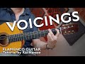 Flamenco Guitar Voicings Explained by Kai Narezo