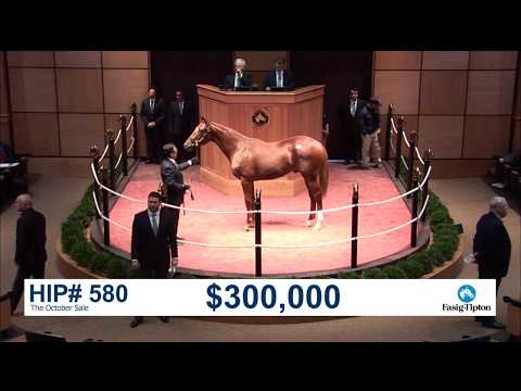 The October Sale (2018): Hip 580 c. American Pharoah sells for $310,000