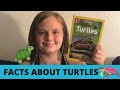 Fun Facts About Turtles National Geographic Kids Book