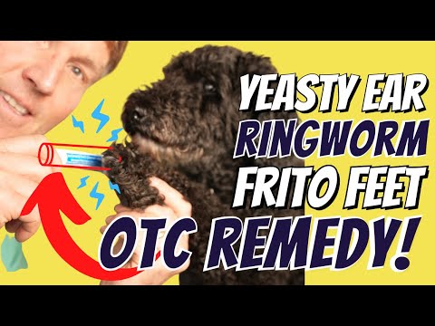 Paw Licking, Ear Scratching, Ringworm: Simple and Cheap OTC Remedy