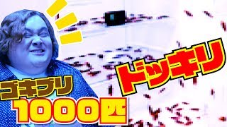 ここからめいちゃんずっとニコニコしてて可愛い - 【ドッキリ】ゴキブリ1000匹用意して冷蔵庫に仕掛けたったwwwww
