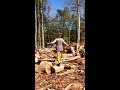 Phaedra Walking On Old Logging Roads Yellow Tights Pantyhose