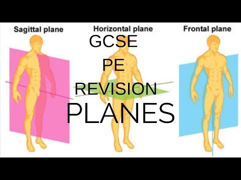 GCSE PE Planes of movement