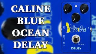 Video thumbnail for Caline - CP-19 Blue Ocean Delay - Demo by Ryan Lutton
