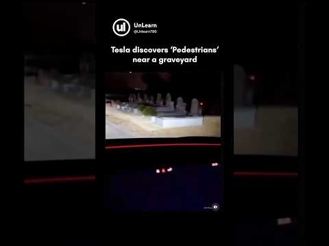 Tesla Driver shares chilling footage - discovers pedestrians near cemetery 🥶