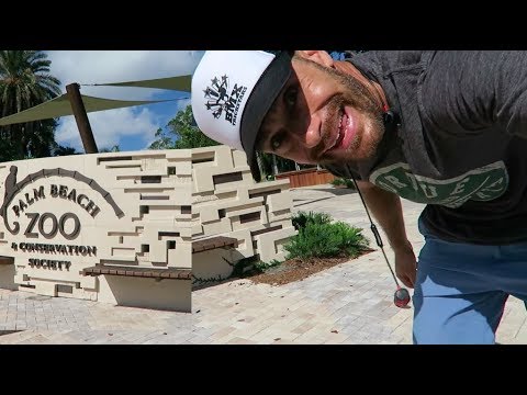 Visiting TURTLES at the Palm Beach Zoo on my Bike!