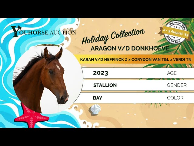 Aragon vd Donkhoeve
