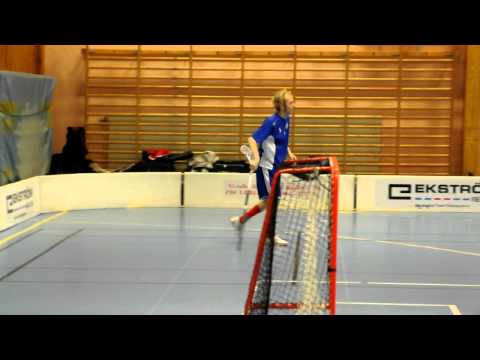 Lerum vs. IBF Backadalen 3-10