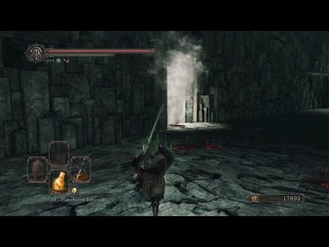 Autorità Reale Dei Topi