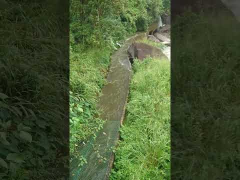 Water flows from a dam #shorts #shortsvideo #travel