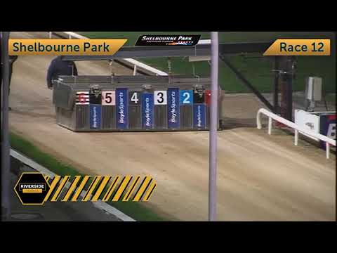 Newinn Session - Big Race Previews By Jason Craddock Open 550