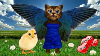 EL POLLITO LITO Cancion infantil. El pollito lito en su cascaron cancion de granja con letra