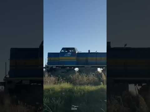 Short trenes de palos! By Alan Drone Uy!