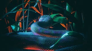 Ekali ft. Denzel Curry – Babylon (Sober Rob & Oshi Remix) [Official Audio]