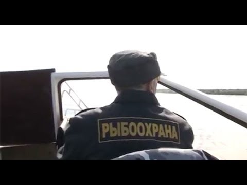 Совместный рейд Петрозаводской инспекции рыбоохраны и ТНТ-ОНЕГО в Прионежском районе