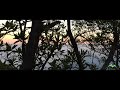 Pagi Buta Gunung Merbabu