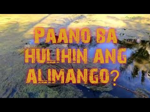 Nakatakas, huli na sana yon - Oriental Mindoro