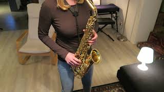 Video thumbnail for Yamaha YAS-32 Alt-Saxophon Soundtest by Pierre Jope