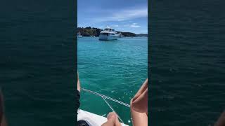 Download lagu The Best Summer In New Zealand tiktok tiffanysua mp3