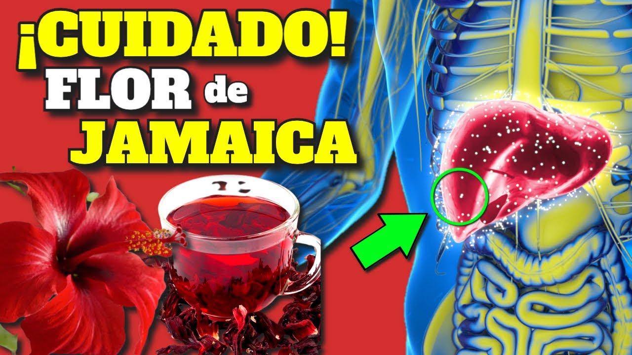¡HIBISCO! (Agua de Jamaica): una SUPER bebida REPLETA de beneficios