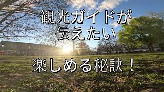 🇩🇪 ベルリン観光、地元民がガチ推し！日本人ガイドと巡る、絶対外せない極上スポット巡り！ブランデンブルク門 #shortsvideo #shorts