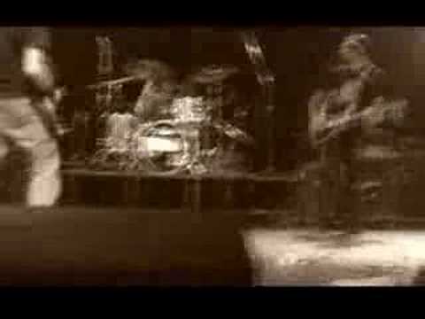 Seed'n'feed - Anestetizzati (live)