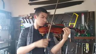 Video thumbnail for AJUSTE DE VIOLINO EAGLE VK 544 -SONORIZAÇÃO -Luthier de violino em São Paulo by atelier kamroyan