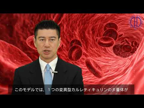 医学科 Juntendo Research Video -Dr. Araki, the Department of Blood Transfusion and Stem Cell Regulation-