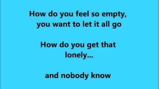 How Do You Get That Lonely Blaine Larsen.wmv