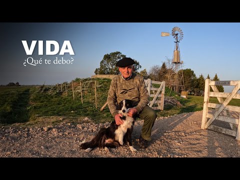 No HABÍA AGUA, NI LUZ / Compraron un CAMPO pelado y en esto lo convirtieron después de 20 años