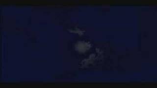 Wind in the Wires - Patrick Wolf