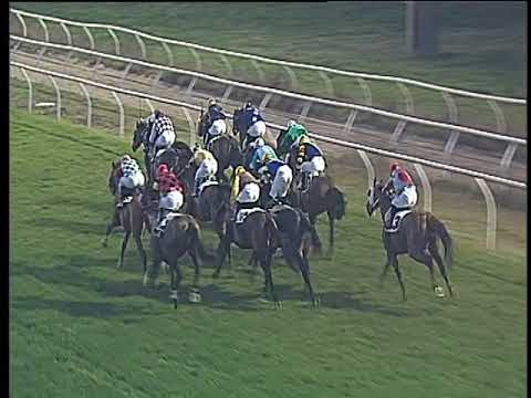 Galoppo 20/01/2018 - 4ª corsa