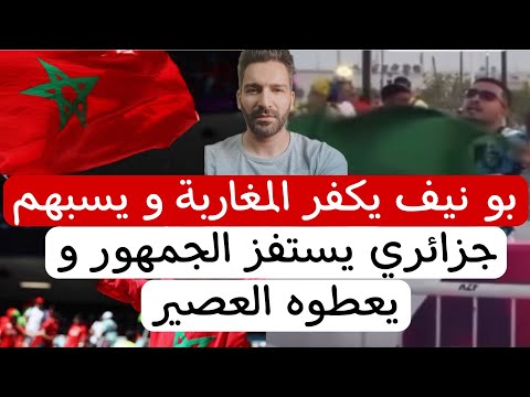 شبيحة شنقريحة بقطر بهدل الشعب الجزائري