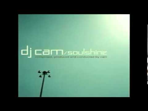 DJ Cam - Summer in Paris