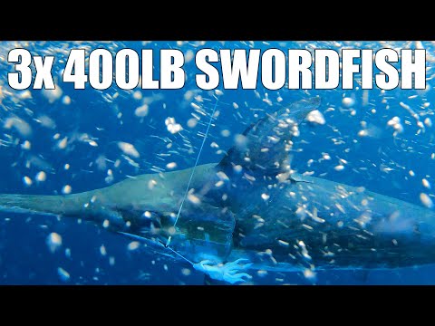Team Brutus May Swordfishing | 3x 400lb Swordfish