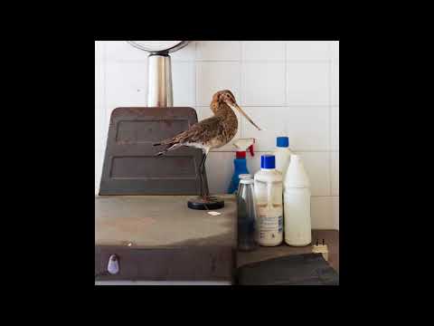 Wrong Assessment - Cryonics [AWRY001]