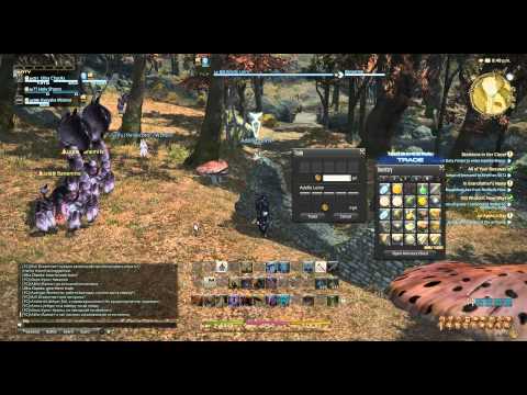Final Fantasy 14 bots 2